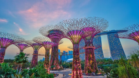 An image of Singapore's Gardens by the Bay Supertrees
