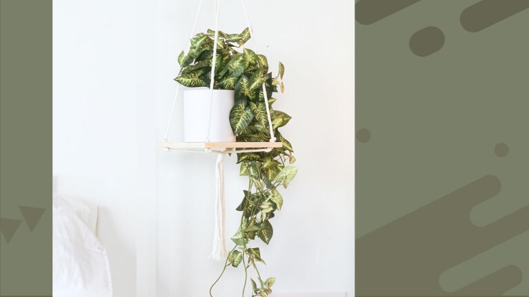 Women-owned small business on Amazon