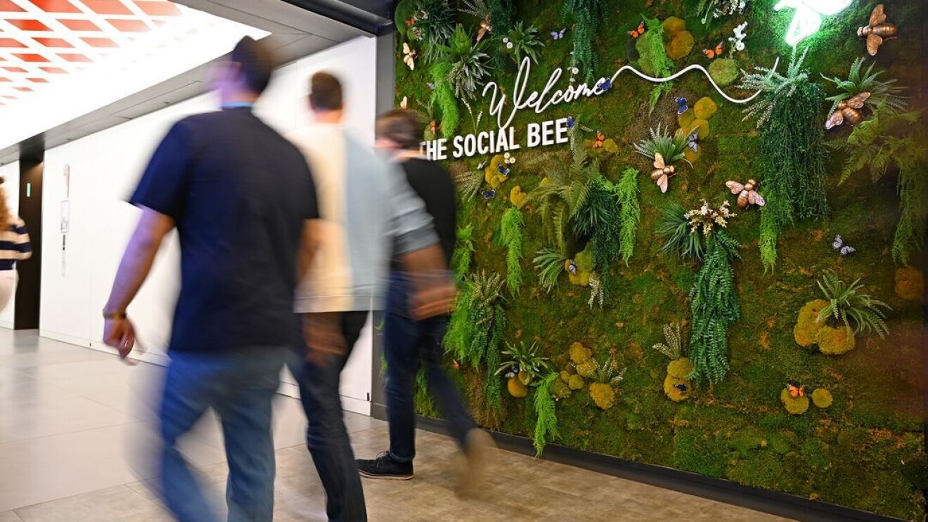People walking in front of a grass wall.