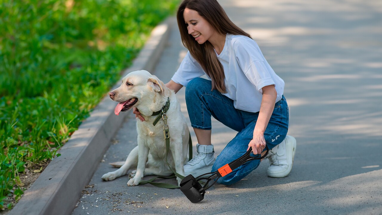 Pet accessories to pamper your furry, feathered and finned friends
