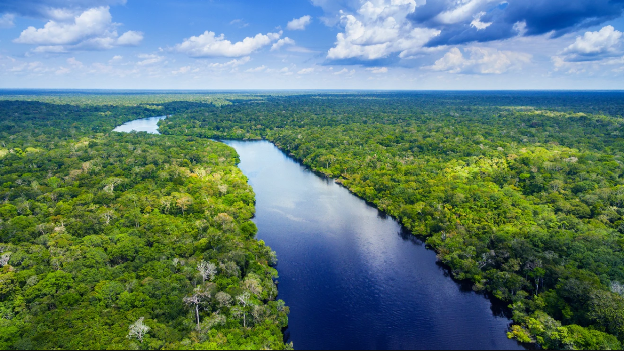 si mostra il rio delle amazzoni con a entrambi i suoi lati una distesa di foresta amazzonica verde e rigogliosa