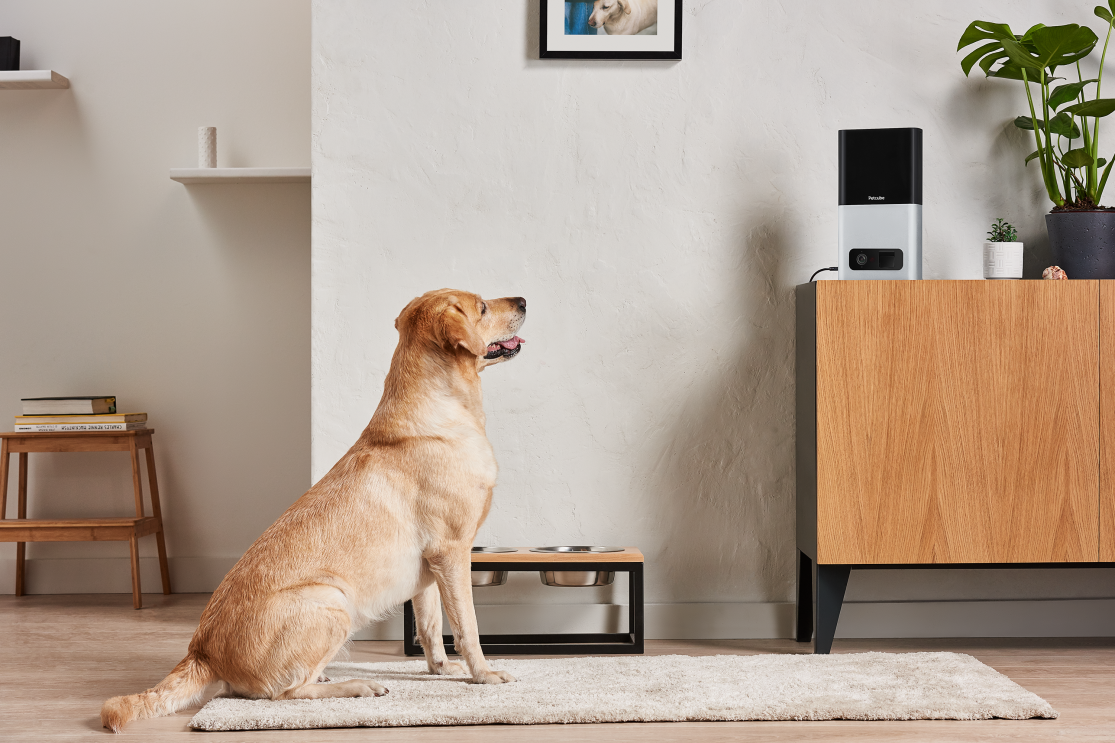 Petcube on Amazon Launchpad