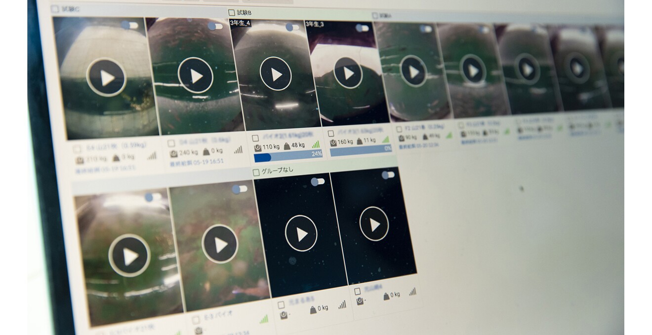 何台ものカメラ映像が並ぶシステムの画面写真