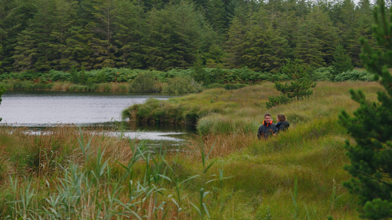 Amazon RNCF Stills3 Ireland 