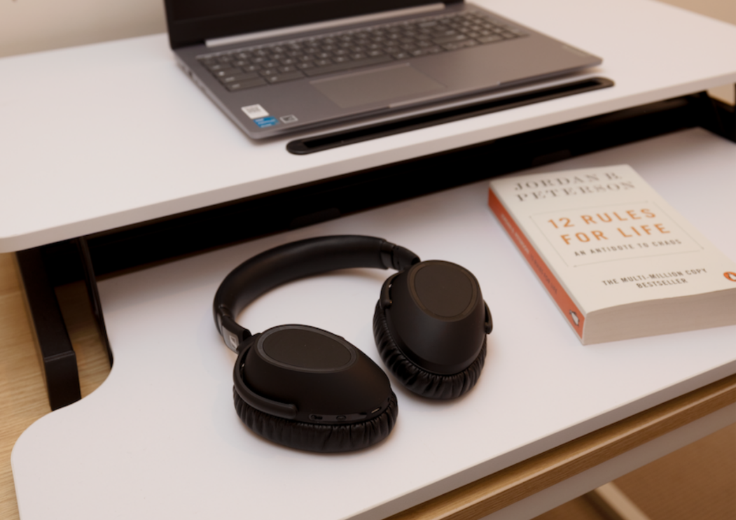 Artiss Bookshelf &  Sennheiser Over Ear Noise Cancelling Wireless Headphones