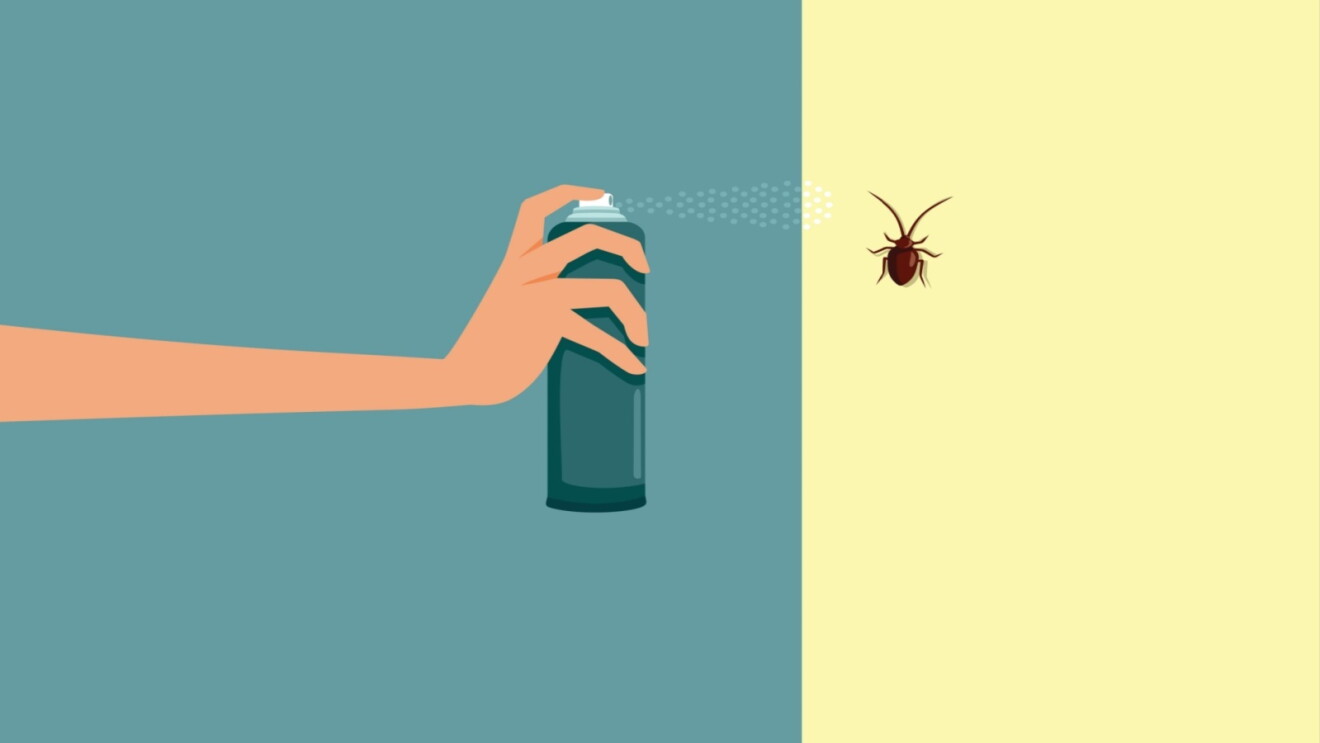 Effective cockroach killer products on Amazon.in