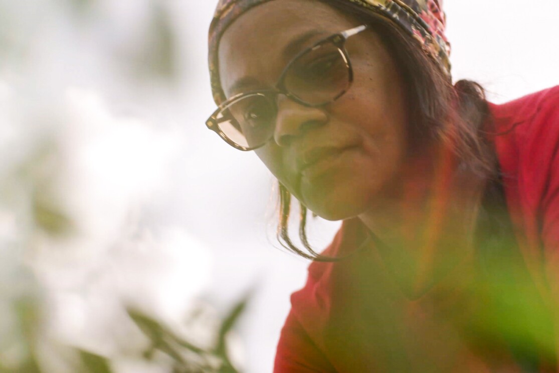 A woman works in a garden.