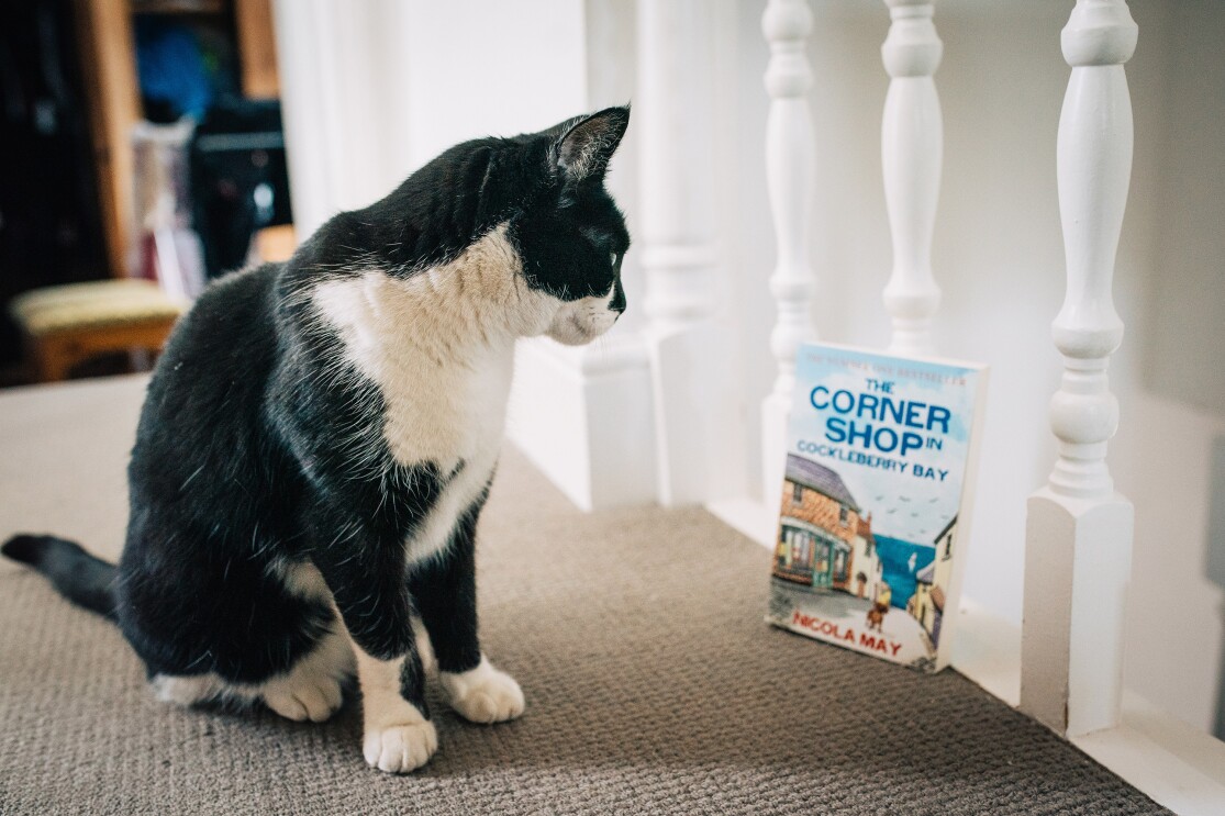 Nicola May's cat Stan with her book The Corner Shop in Cockleberry Bay