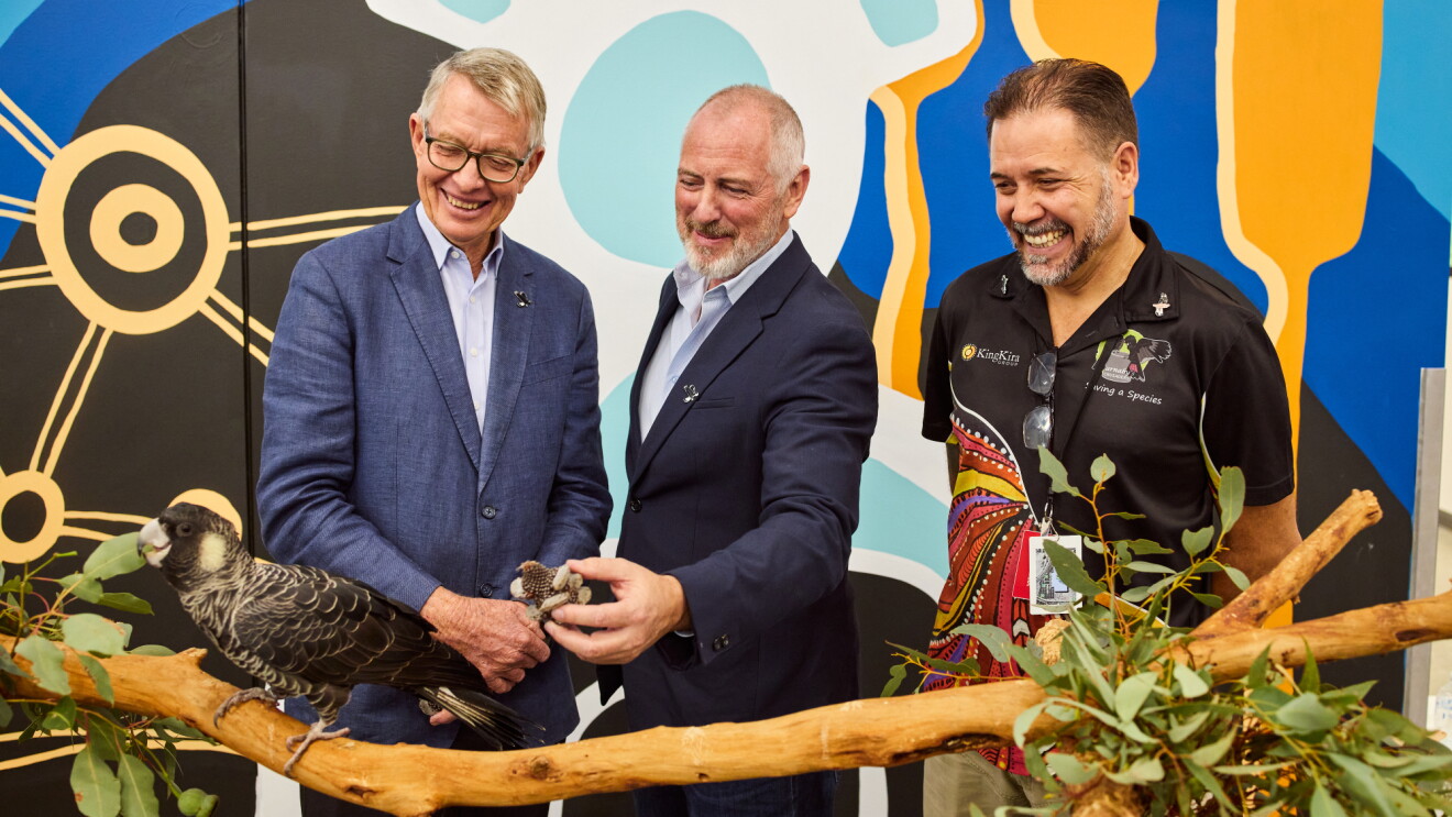 Three men smiling at a ceremonial ribbon cutting with native flora and Indigenous artwork backdrop