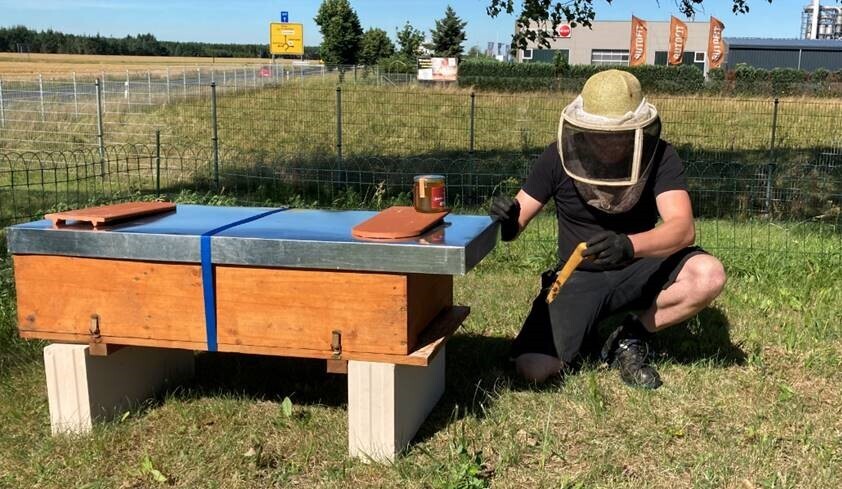 Imker bei Amazon in Lampertswalde