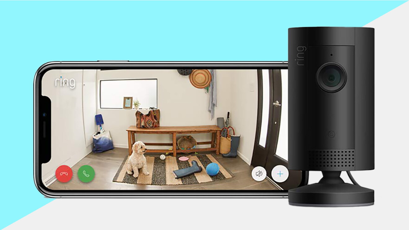 Prime Day 2023 live blog best deals: ring camera system showing an image of a dog sitting in the foyer.