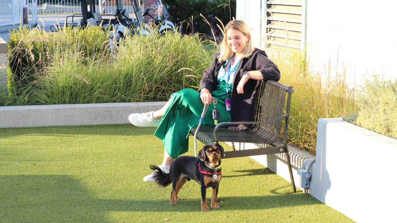An image of a small brown and black dog at the Amazon offices in Culver City