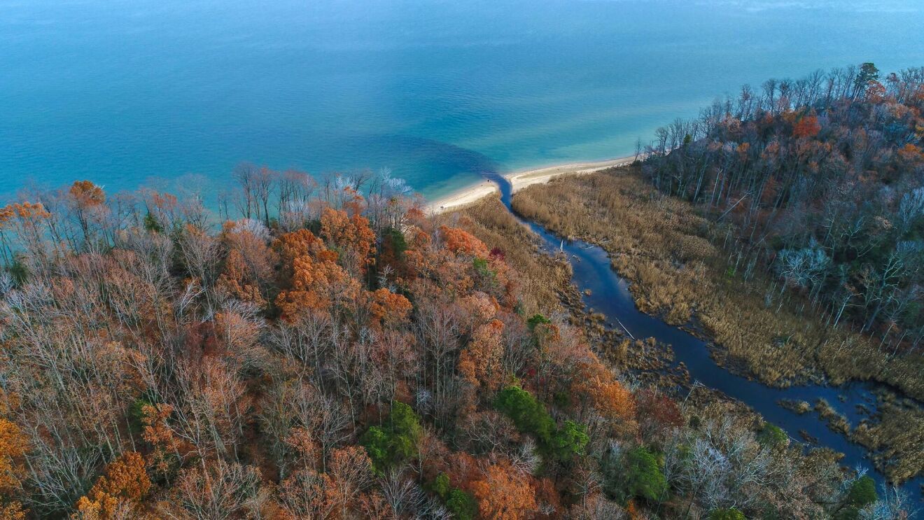 上空から見た、海に注ぐ川の流れ。海も川の水は濃い青で、川は赤く紅葉している森に囲まれている。