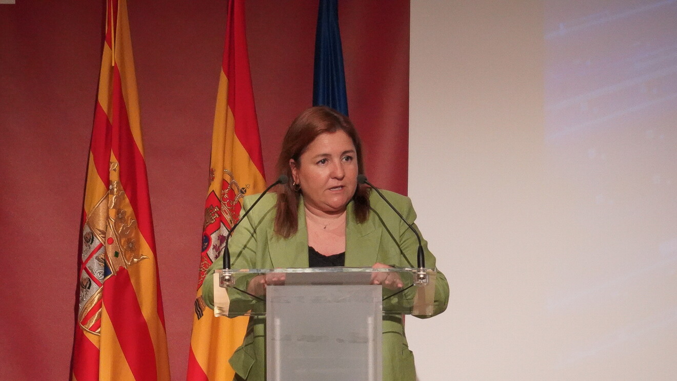Ana López, directora gerente del Instituto Aragonés de Empleo (IANEM).