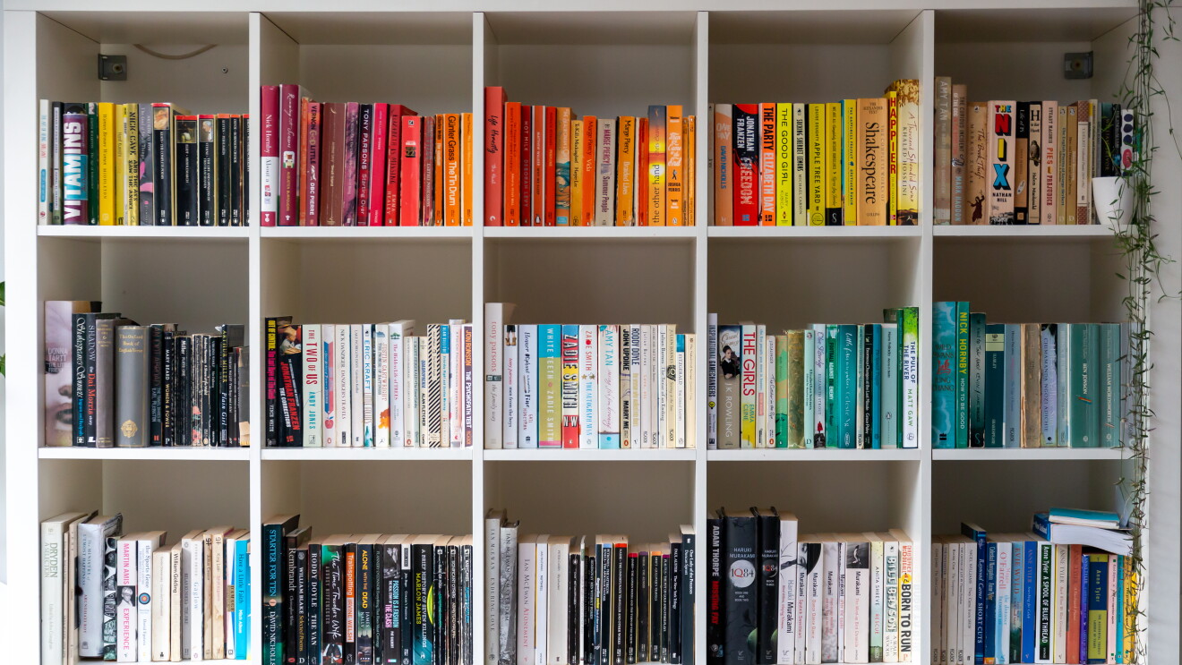 White shelf filled with books arranged by colour.