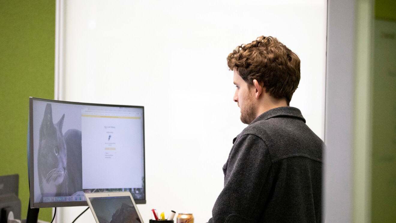 A man works on his notebook computer, There's an image of a cat on his monitor 