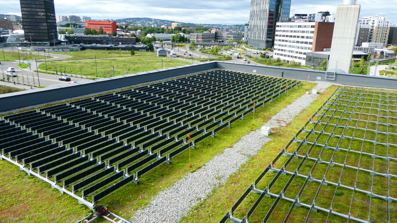Over Easy Solar  amazon sustainability accelerator 
