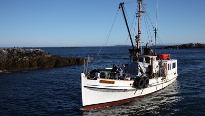 亚马逊的包裹通过船只、汽车直接送到客户手中。