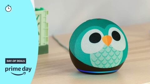 回声点(5日创2022版本)的孩子