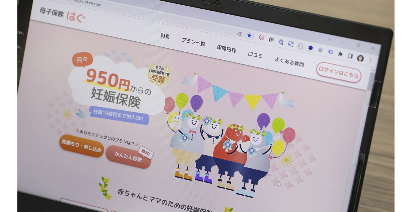 「母子保険はぐ」のサイトの画面写真