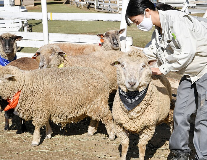 「ほしい物リスト」でつながる応援する心：千葉市の試み