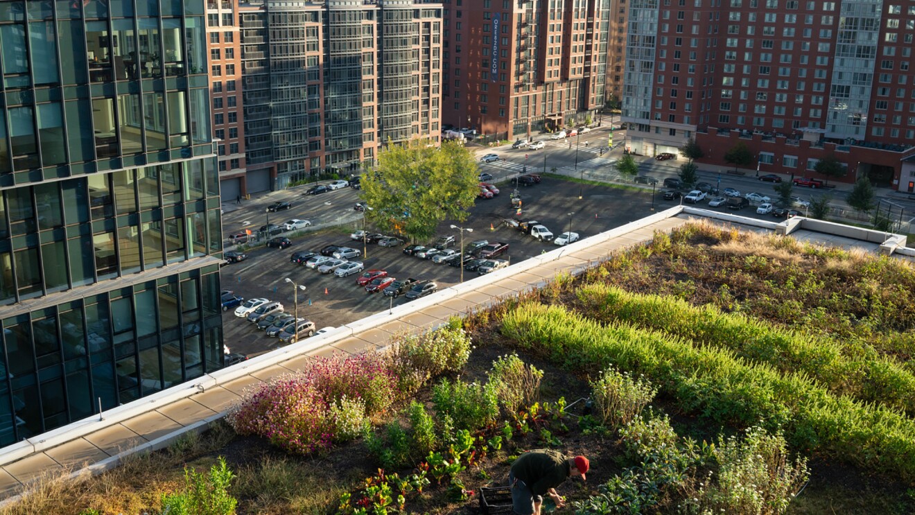 城市环境中的屋顶花园。