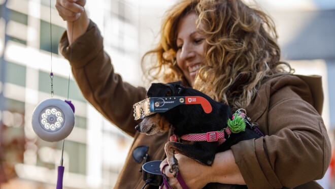 2017年万圣节在亚马逊的西雅图总部