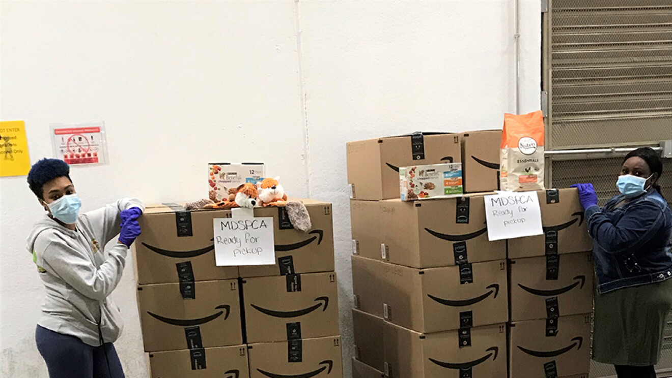 Images from the ASPCA in thanks to Amazon for donating thousands of items, including 6,500 pounds of pet food 