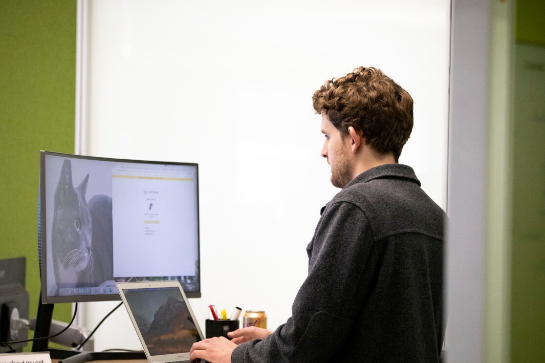 A man works on his notebook computer, There's an image of a cat on his monitor 