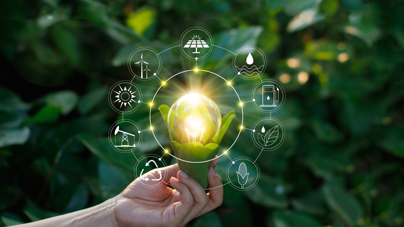 Image with a glowing plant