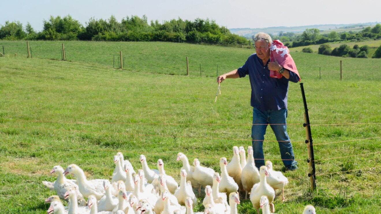 Jeremy Clarkson feeds a flock of ducks in his field on Diddly Squat Farm.