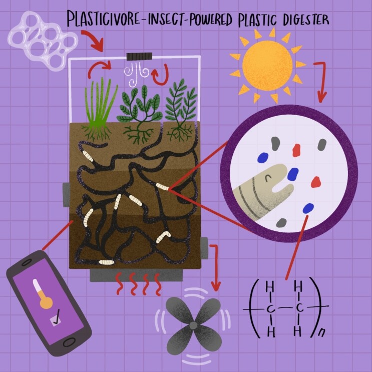 30_Plasticivore-_Insect-_Powered_Plastic_Digester