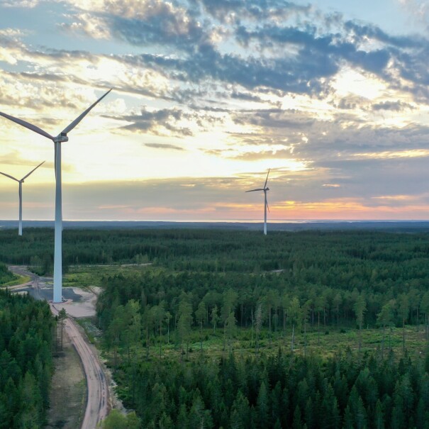 A sustainable wind farm.