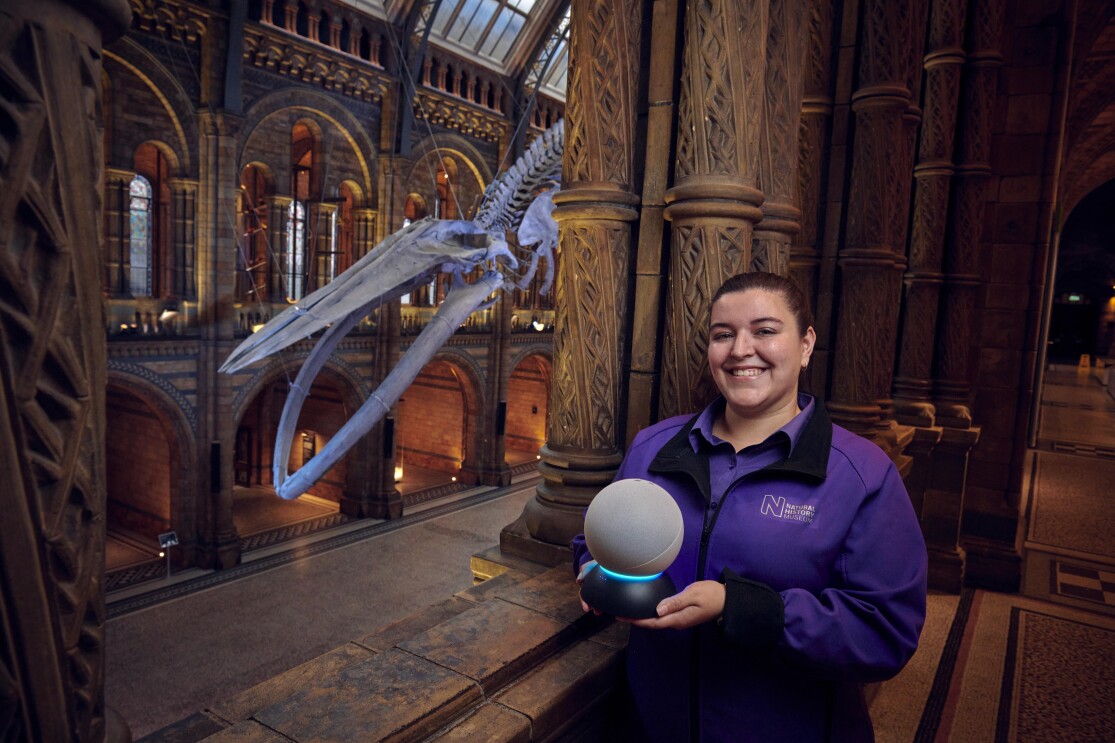 Amazon teams up with the Natural History Museum