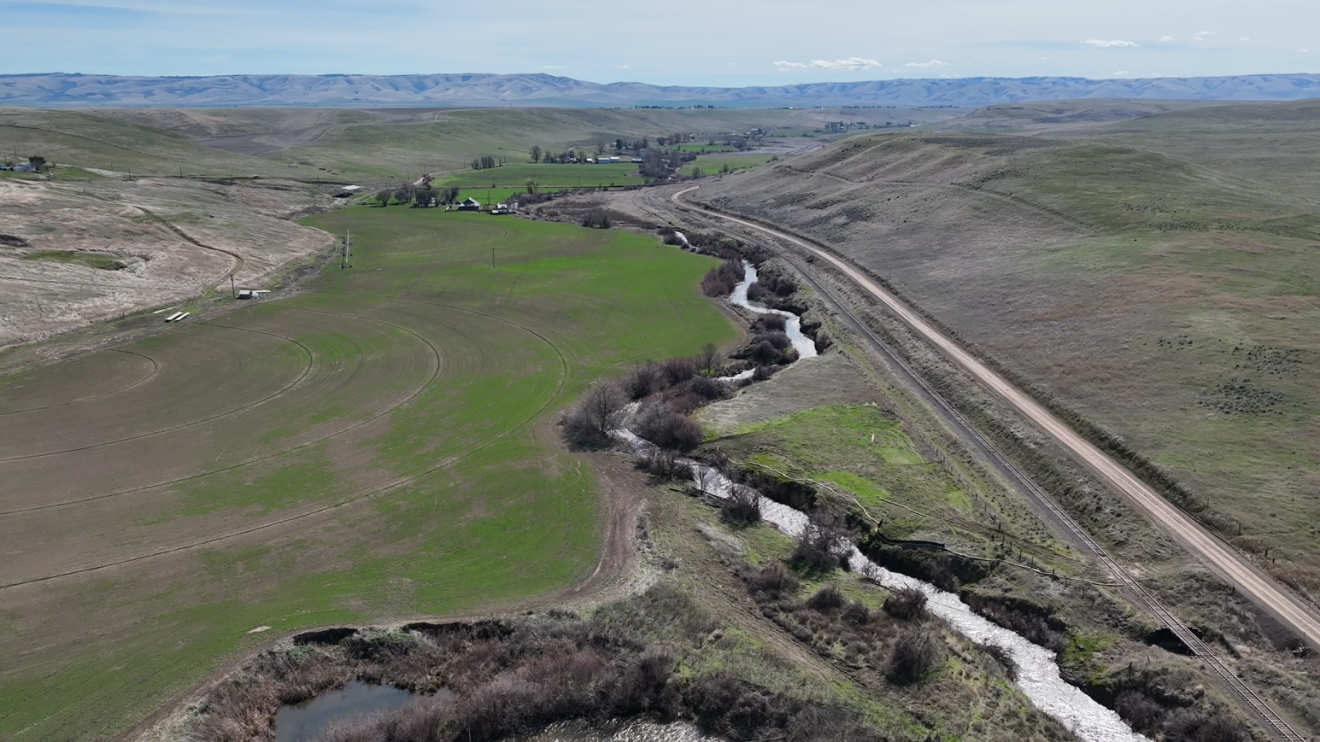 Photo of Birch Creek. Source: Confederated Tribes of the Umatilla Indian Reservation.