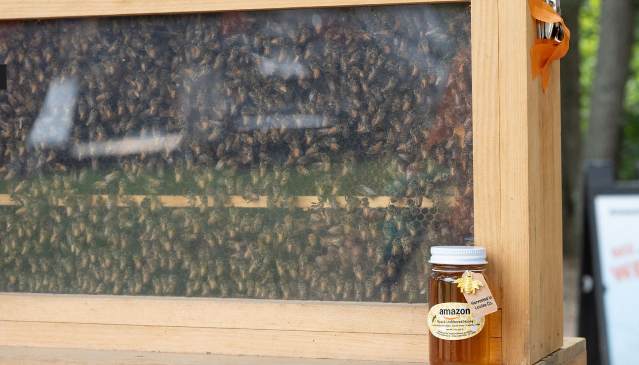 An Amazon observation hive and a jar of honey on a table