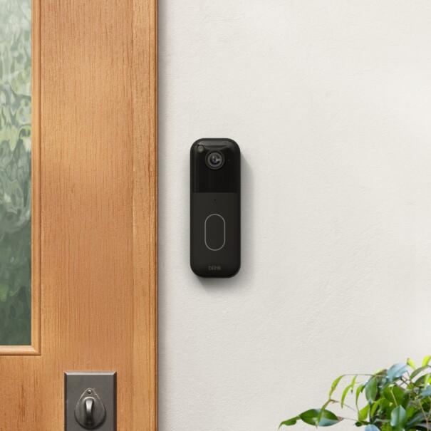 Nuevo Blink Video Doorbell en un árbol