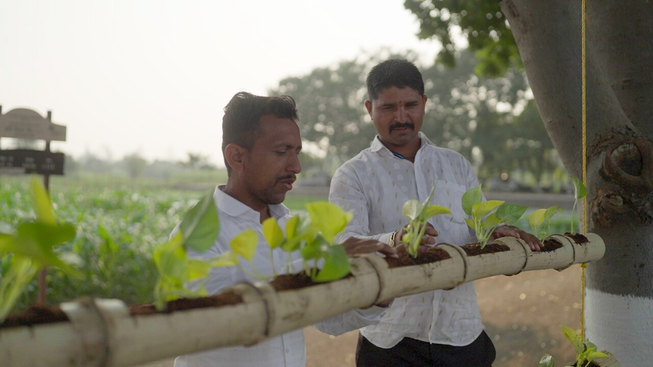 From Farm to Fork: Amazon Fresh improving productivity and quality with farmers