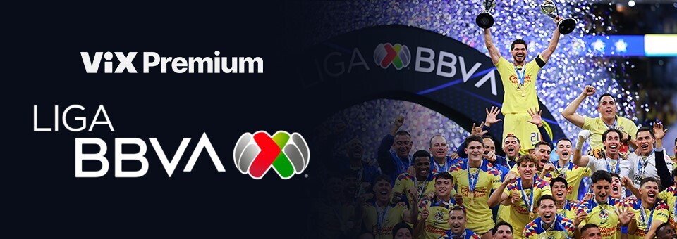 Cartel de la Liga BBVA