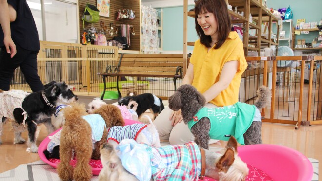 保護施設で暮らす犬猫を ほしい物リスト で支援 About Amazon Japan