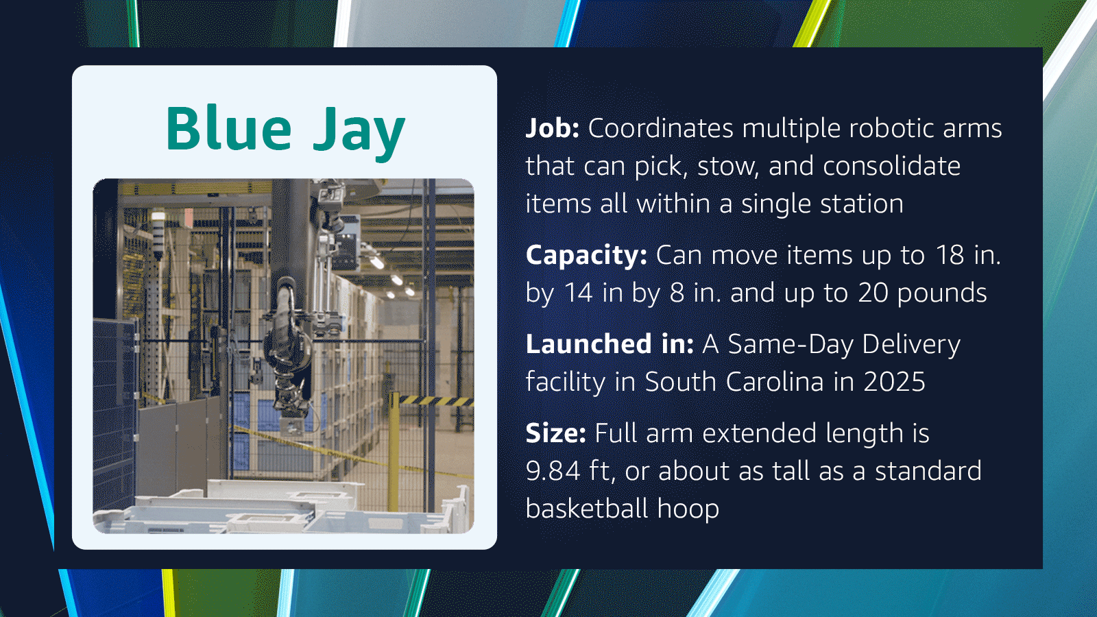 Graphic explaining what Amazon's new robot, Blue Jay, does.
