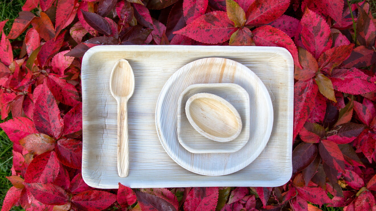 Eco friendly dinner ware