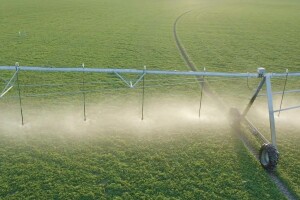 An image of a farming field being watered by a large sprinkler system.