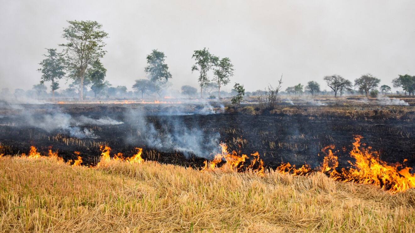 Burning agricultural field with smoke and flames spreading