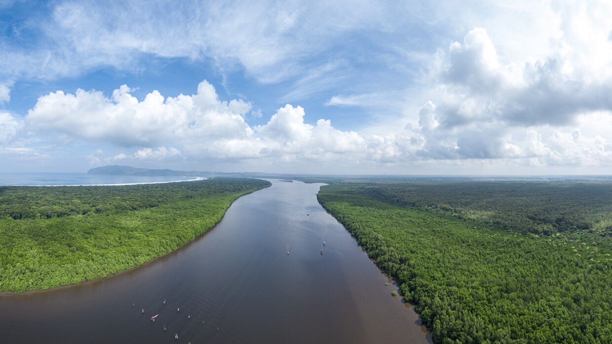 En la parte superior está el cielo con nubes blancas y en la parte inferior hay un río muy caudaloso de color marrón y un bosque muy frondoso de color verde. 