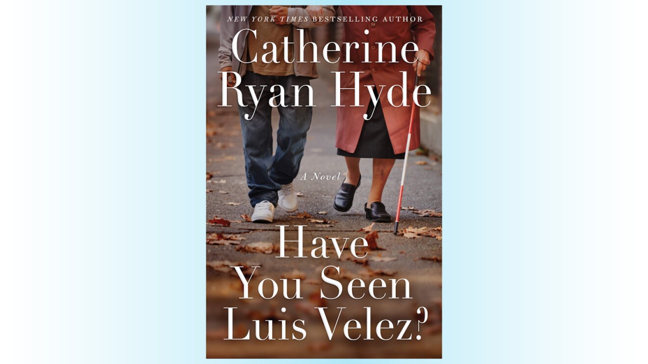 A book cover of Have You Seen Luis Velez.