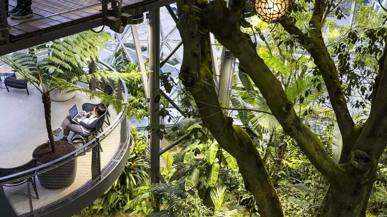 ヤシの木の下に座っている人がPCを見ている。