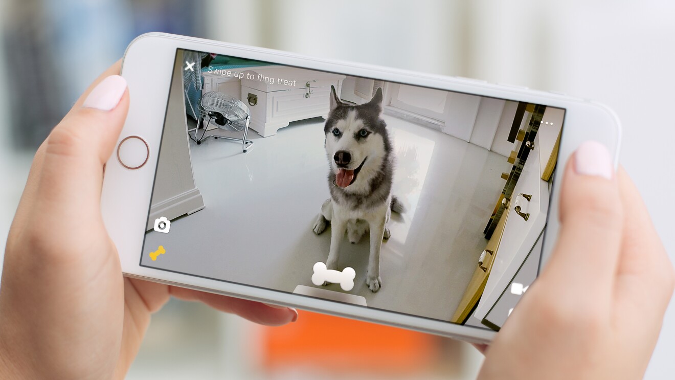 Petcube screen view