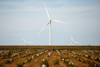 Sustainability