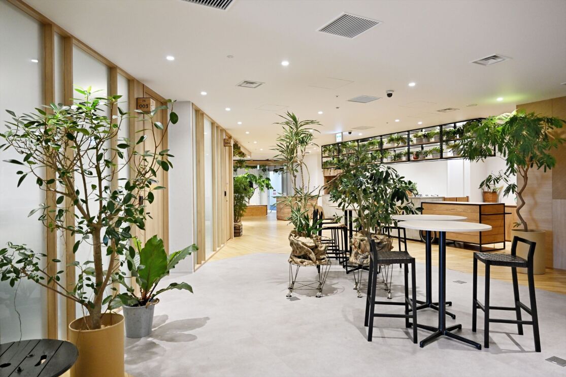 ミニマリストな部屋には、黒いハイチェア2台とハイテーブルが並んで置かれている。そのテーブルの間には鉢植えが置かれている。部屋の左側には会議室があり、右側にはカウンターがある。